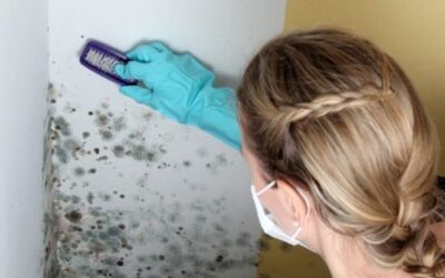 Come eliminare l’umidità con il sale e rimuovere la muffa in modo assolutamente naturale